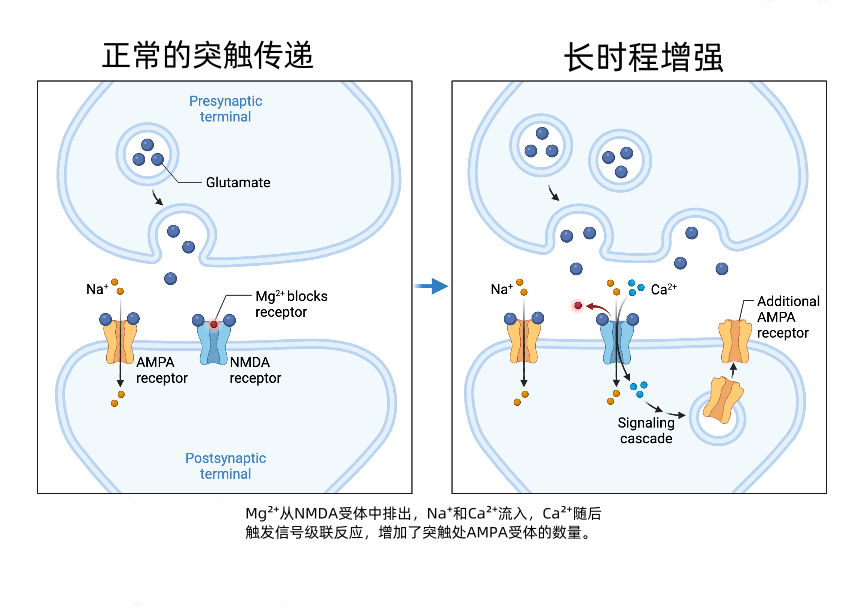 a22d7cc3889a81e79988ea65102bdb7_副本.png
